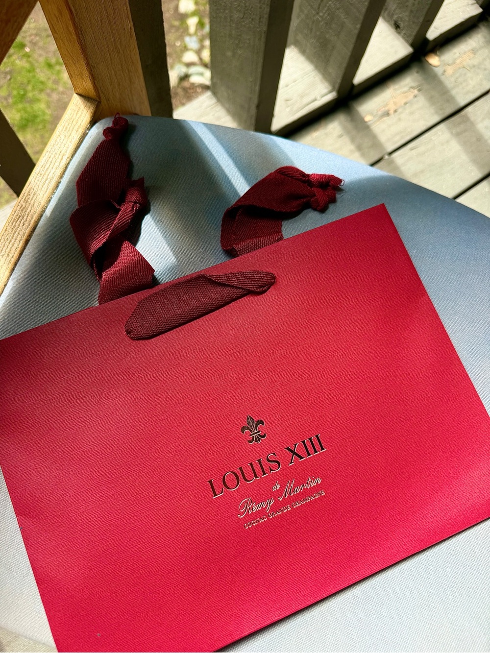 Remy Martin Louis XIII Cognac Gift Bag Brand NEW - Unopened